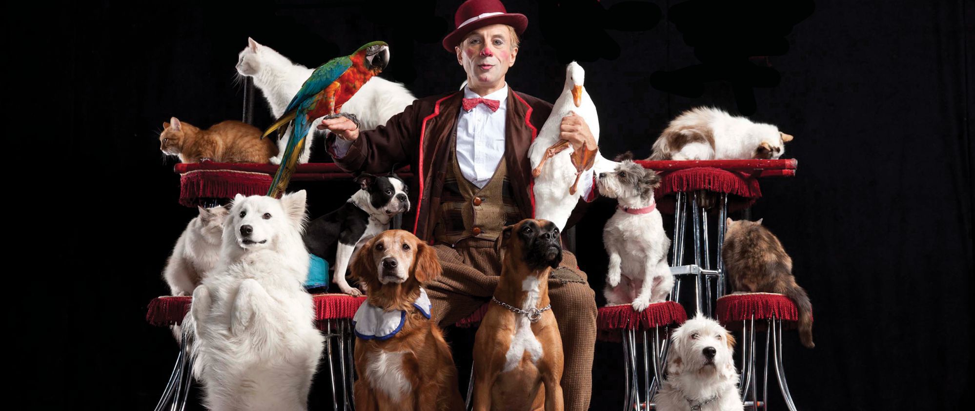 Popovich's Comedy Pet Theater